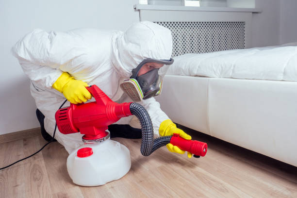 Best Fumigation Services  in Laurel Springs, NJ